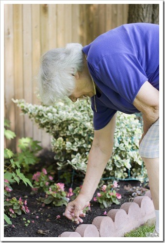 Back Pain Jackson MS Gardening