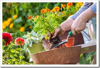 Spinal Health Gardening Jackson MS