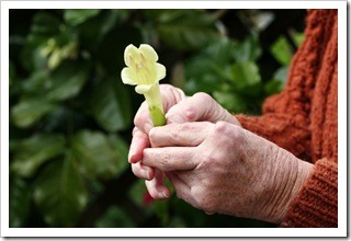 Arthritis Pain Relief Jackson MS